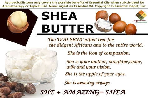 The Role of Navy Spell Shea Butter in Sustainable Beauty Practices
